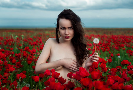The seminude girl poses on a poppy fieldの写真素材