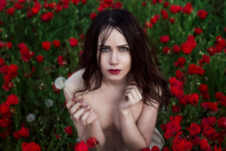 The seminude girl poses on a poppy fieldの写真素材