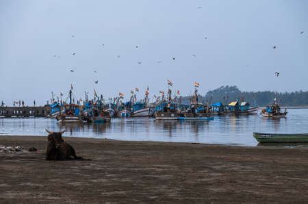 Fisherman village in Goa, Indiaのeditorial素材