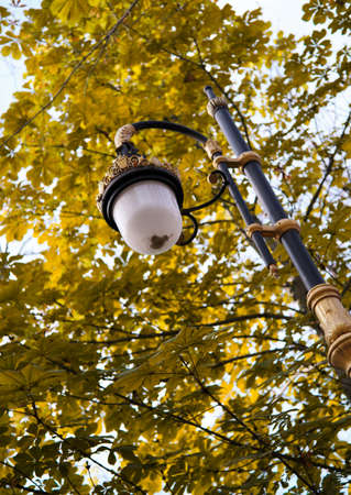Streetlamp and tree leafs in the backgroundの写真素材