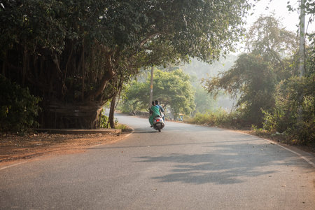 Rear View Of People Riding Motorcycles Amidst Trees On Road, Goa, Indiaの写真素材