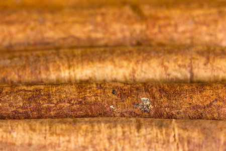 Cinnamon wide from close on a wooden tableの写真素材