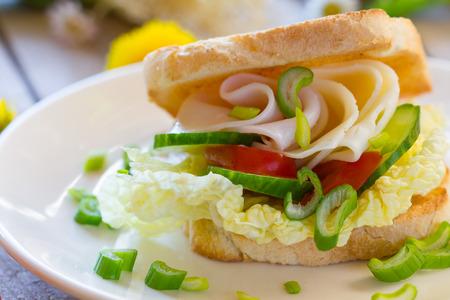Fresh toast with vegetables, cheese and hamの写真素材