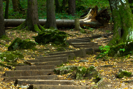 Old wooden staircase in the forest leading to the cave