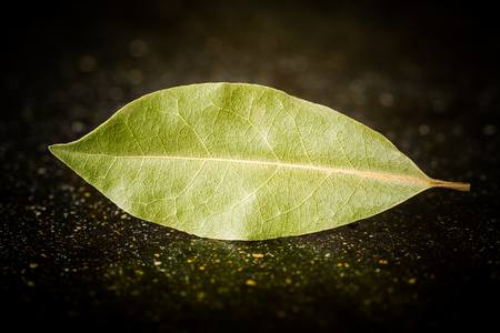 Bay leaves on a black marble desk closelyの写真素材