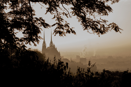 View of old city in fog at sunrise. City of Brno czech republic - Cathedral of St. Peter and Paul.の写真素材