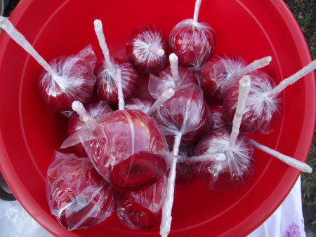 Candied sweet beautiful red apples.の写真素材