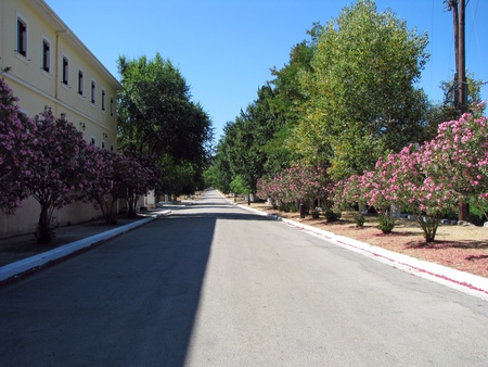 Avenueの写真素材