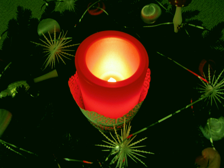 candle lightの写真素材