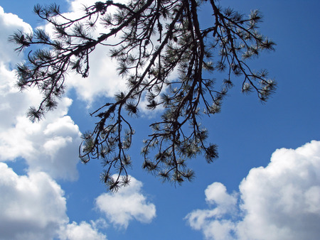 view into the blueの写真素材