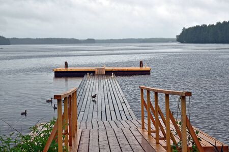 dock, ducks and rainy dayの写真素材