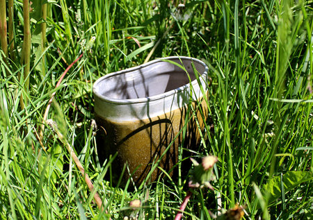 green bowler for trekking in the forest
