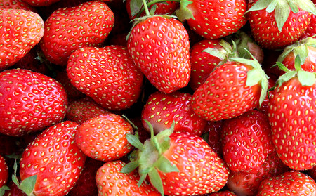 background of a lot of juicy fresh red strawberryの写真素材