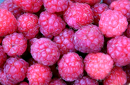background raspberry juicy ripe flying berry textureの写真素材