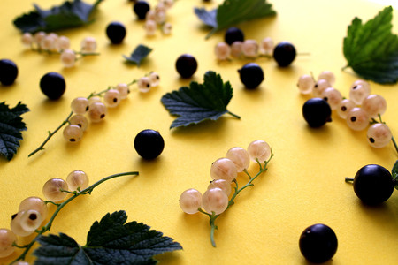 texture of currant white and black with leavesの写真素材