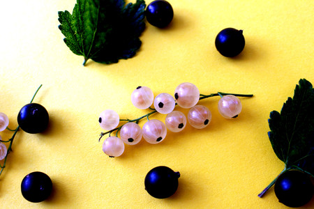 texture of currant white and black with leavesの写真素材