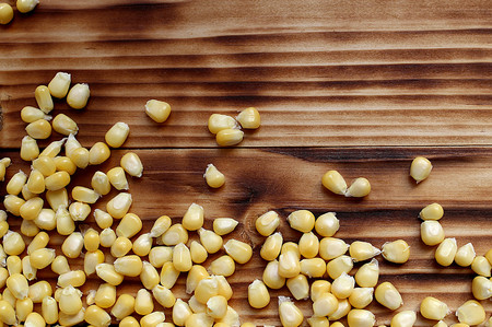 fresh harvest of ripe, juicy, young corn scattered on the tableの写真素材