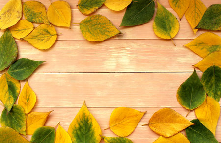 texture yellow autumn leaves on a wooden background