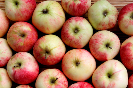 background many apples large