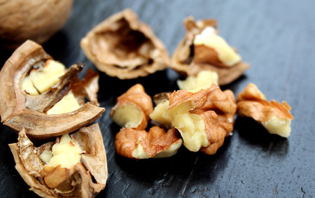 walnut chopped shells fresh crop