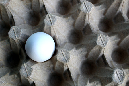 One white chicken egg in a box trayの写真素材