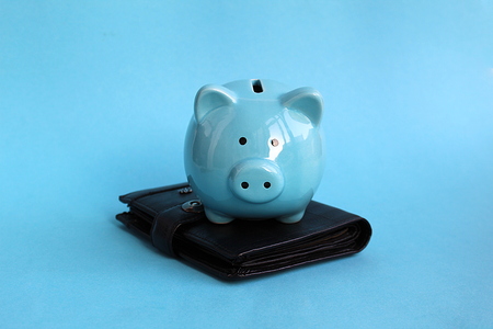 Piggy piggy pig standing on a purseの写真素材