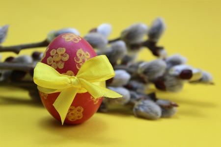 The easter eggの写真素材