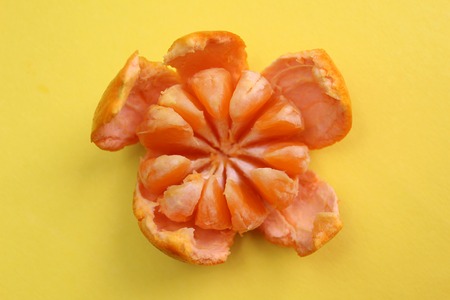 White colorの写真素材