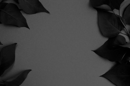 Texture frame of leaves dark gray photo