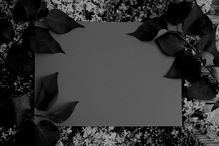 Texture frame of leaves dark gray photoの写真素材