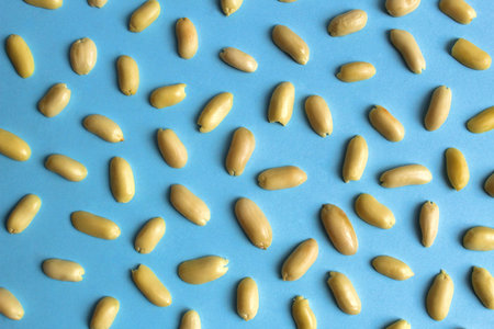 Texture peeled peanuts scattered on a blue backgroundの写真素材