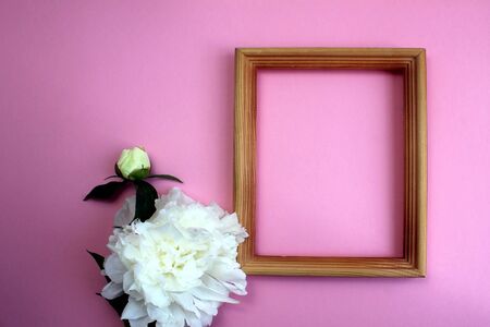 White peony buds are on the frameの写真素材