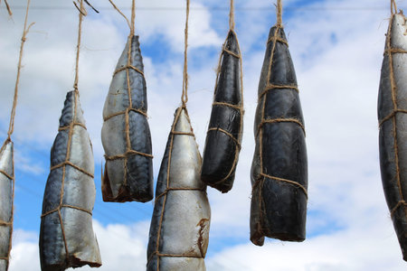 Mackerel fish hanging on a rope cooked for further smoking