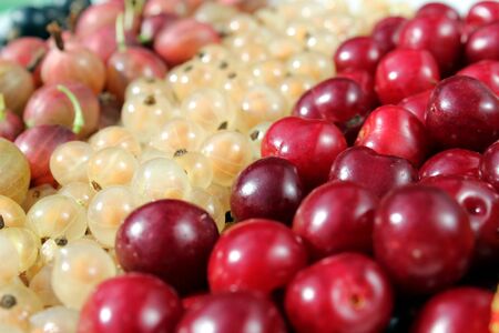 Fresh berries cherry, gooseberry, currant lined with a strip on the surfaceの写真素材