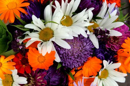 Beautiful floral texture with a summer moodの写真素材