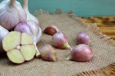 fresh garlic crop lies on burlap fabric