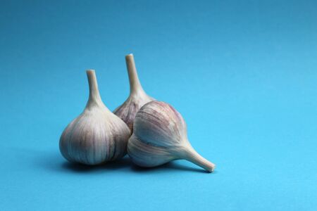 Garlic and cloves of garlic on a blue background.の写真素材