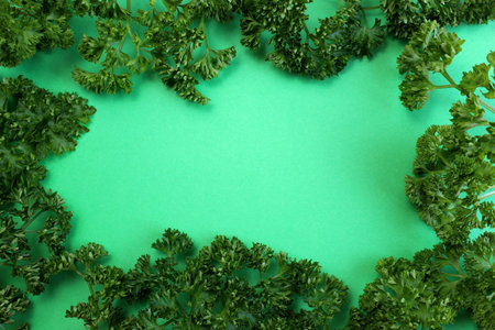 background of fresh parsley on a green surface