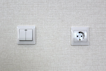 Socket and switch are in one photo