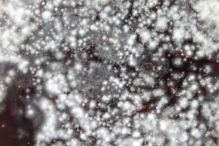 White mold formed on the surface of the jam