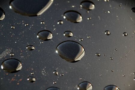 Drops of water glisten in the sun on a black backgroundの写真素材