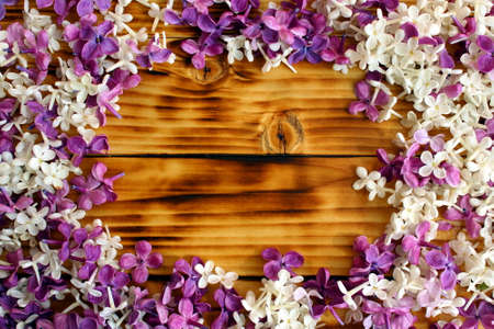 Small lilac flowers on a wooden background with a place for inscriptionの写真素材