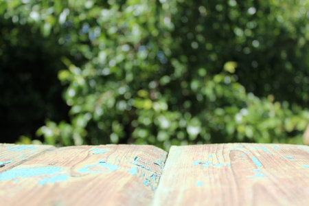 Small wild strawberry flowers in the sunの写真素材