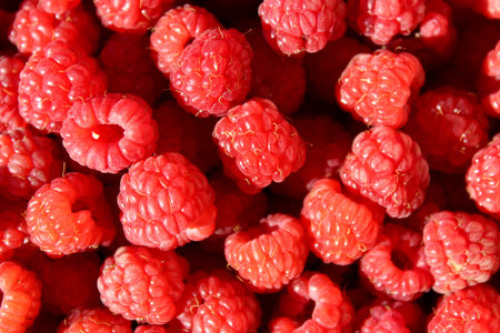 Texture juicy, ripe, red, berry, raspberries under a sunbeam