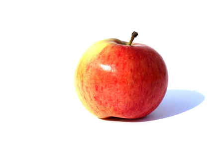 Red ripe delicious apple stands on a white background
