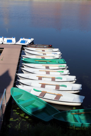 Many small boats dock in the summerの写真素材