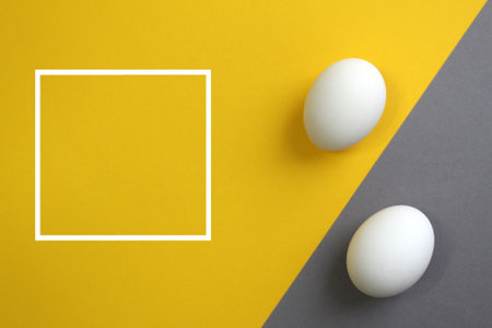 Two chicken white eggs lie on yellow and gray colors, next to there is a frame for textの写真素材
