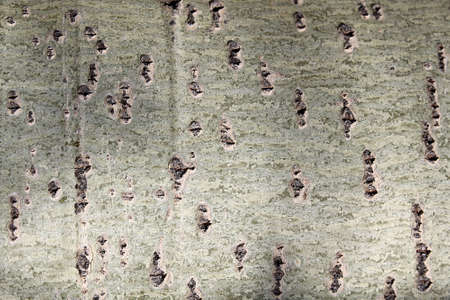 Marble small stones are beautifully laid out in a checkered iron meshの写真素材