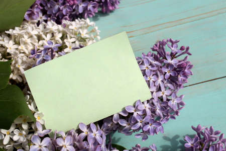 On a bouquet of lilacs there is a sticker for writing textの写真素材