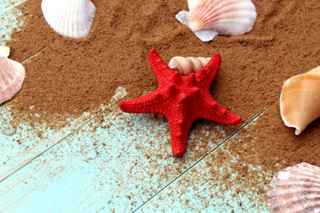 Red starfish with different seashells lies on a wooden background.の写真素材